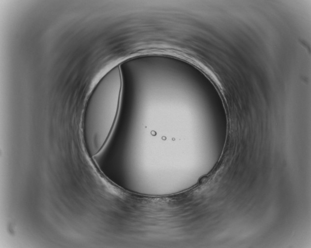 X0000096191533200801180957
