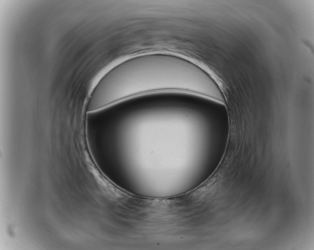 X0000096191534200801180957