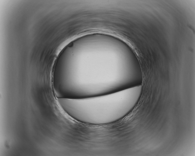 X0000096191535200801180957