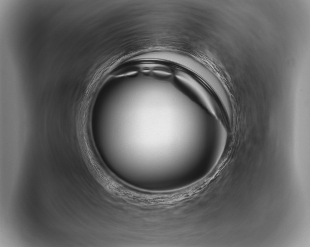 X0000096190001200801181330