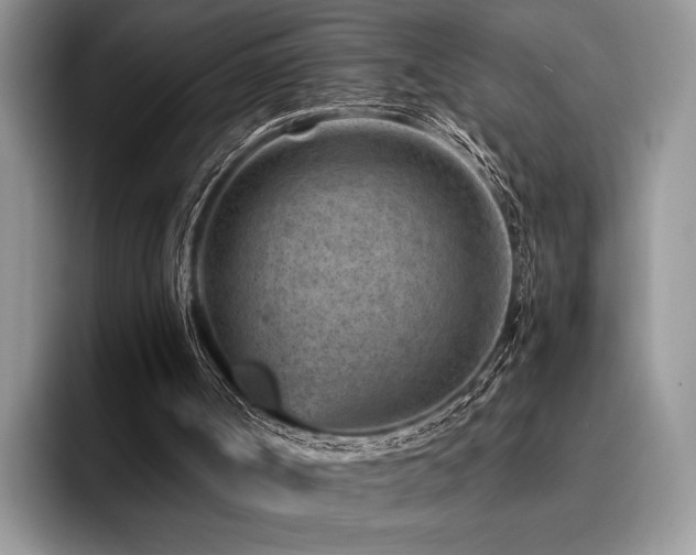 X0000096190002200801181330