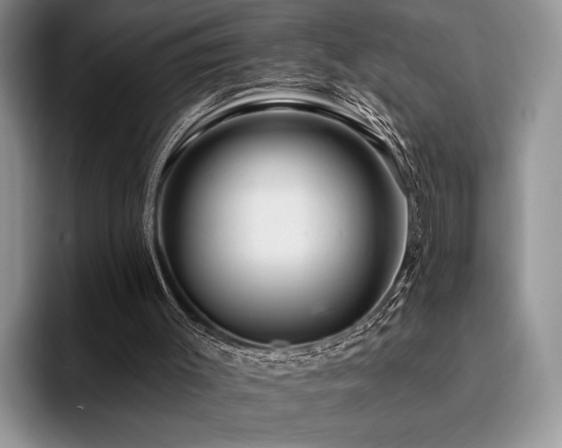 X0000096190003200801181330