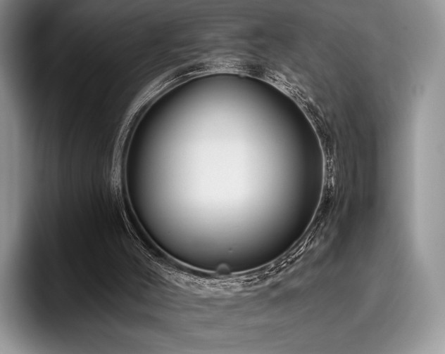 X0000096190004200801181330