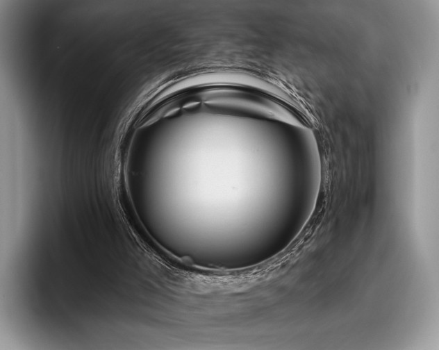 X0000096190005200801181330