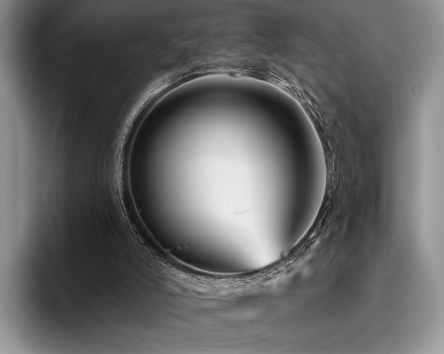 X0000096190006200801181330