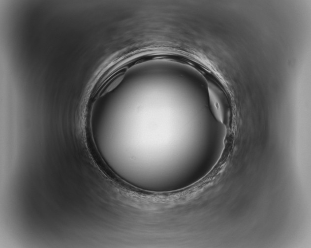 X0000096190007200801181330
