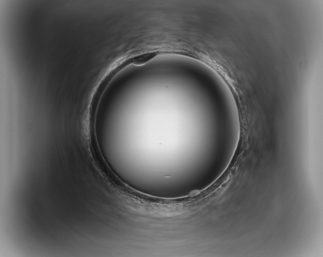 X0000096190008200801181330
