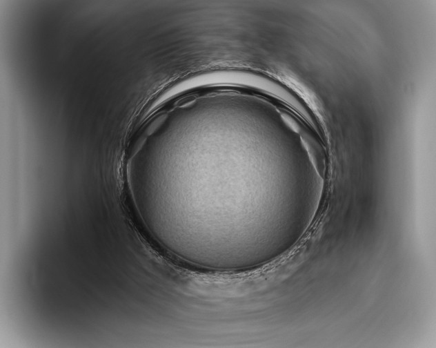 X0000096190009200801181330