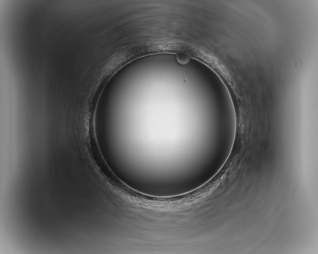 X0000096190010200801181330