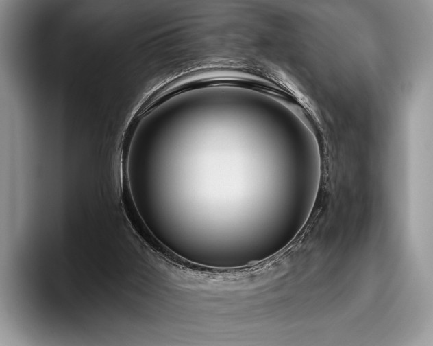 X0000096190011200801181330