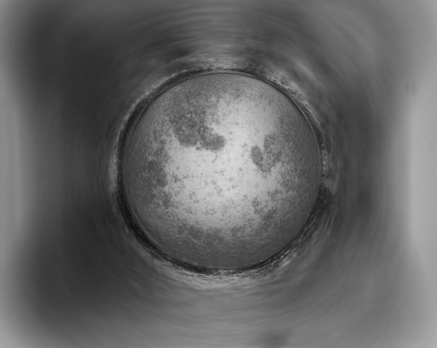 X0000096190012200801181330