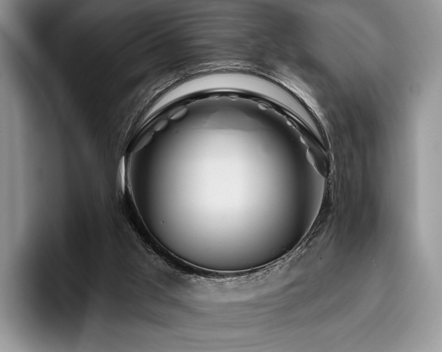 X0000096190013200801181330
