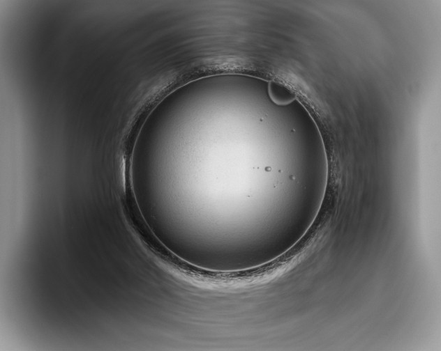 X0000096190014200801181330