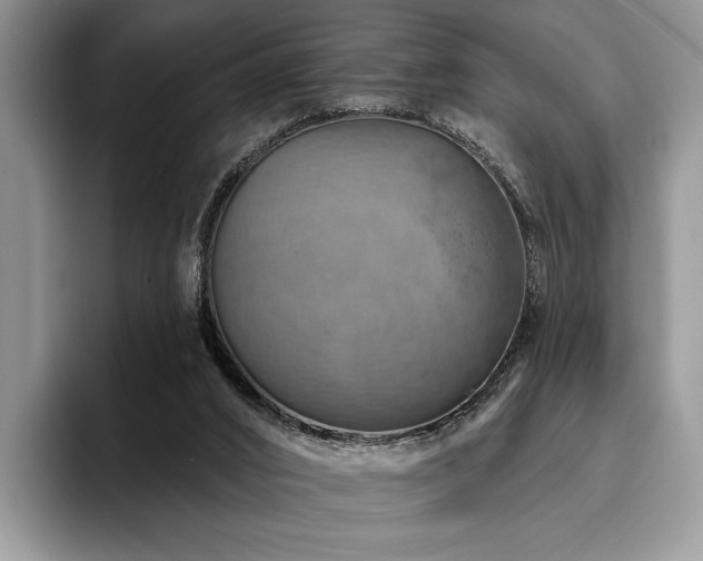 X0000096190016200801181330