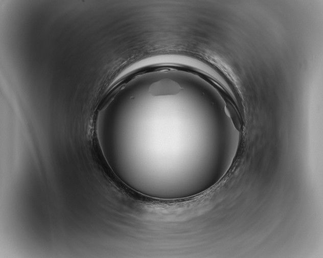 X0000096190017200801181330