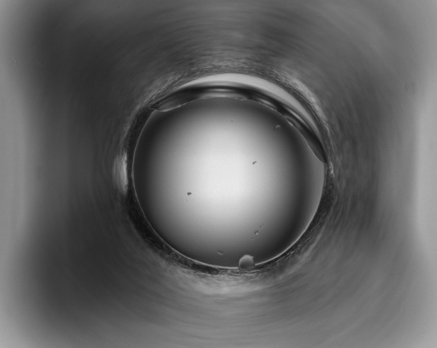 X0000096190020200801181330