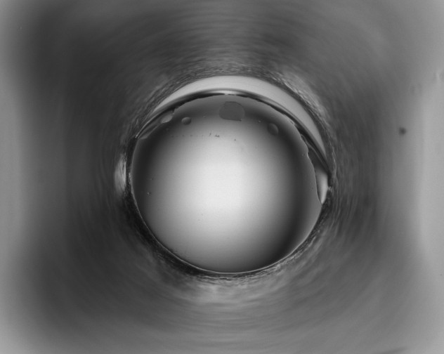 X0000096190021200801181330