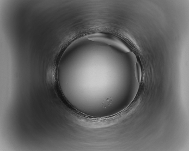 X0000096190023200801181330