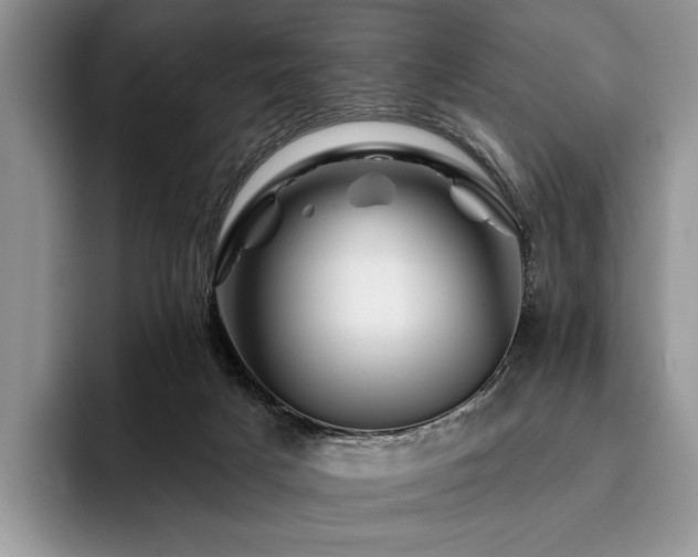 X0000096190025200801181330