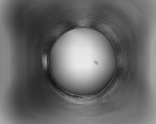 X0000096190028200801181330
