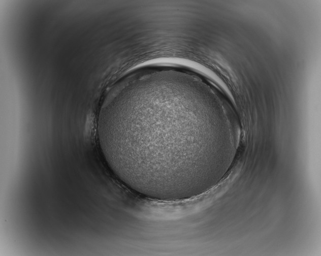 X0000096190029200801181330