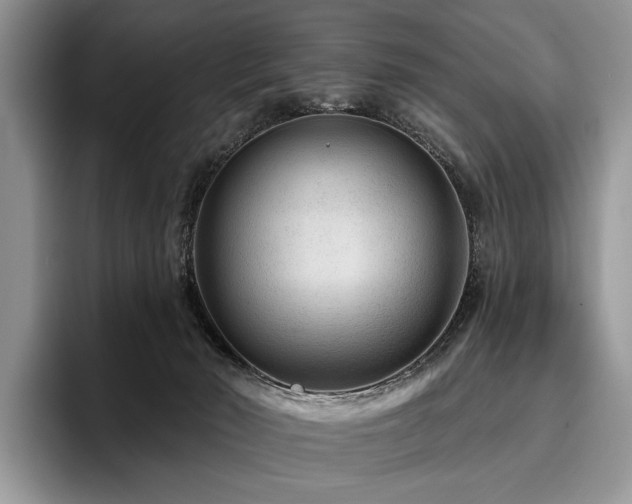 X0000096190030200801181330