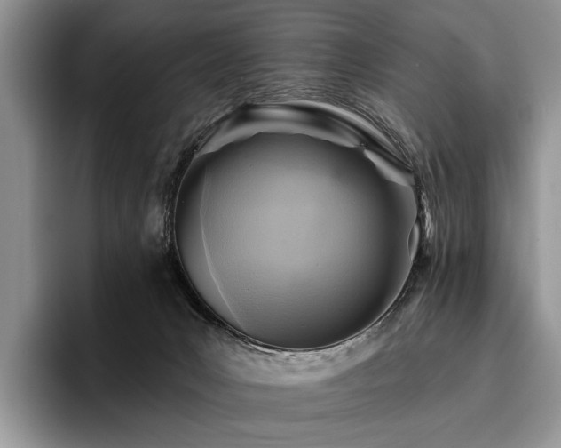 X0000096190031200801181330