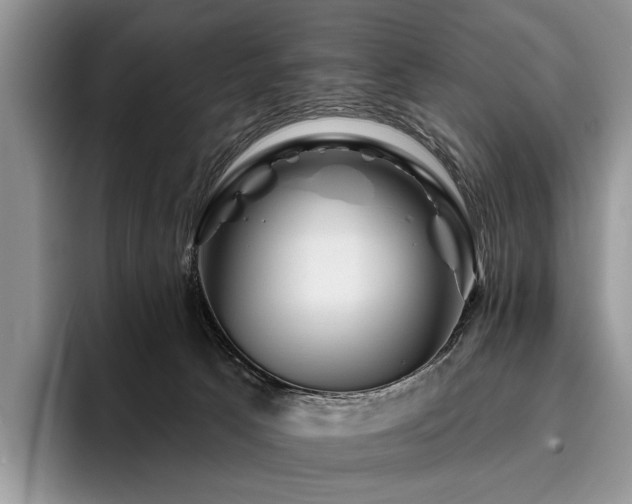 X0000096190033200801181330