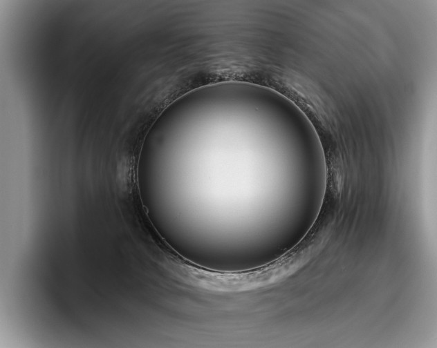 X0000096190034200801181330