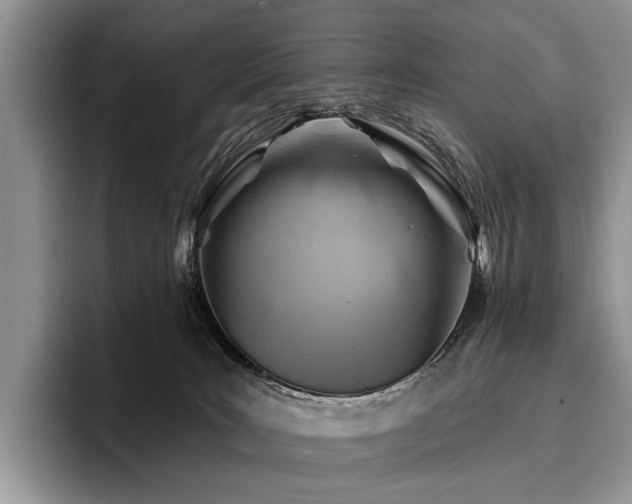 X0000096190035200801181330