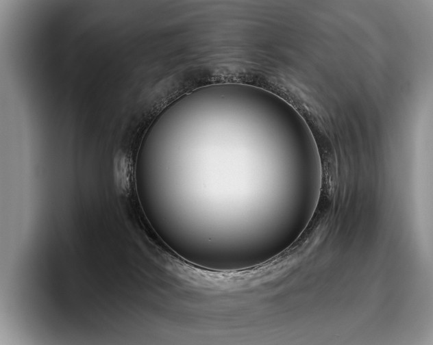 X0000096190038200801181330