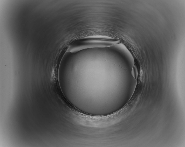 X0000096190039200801181330