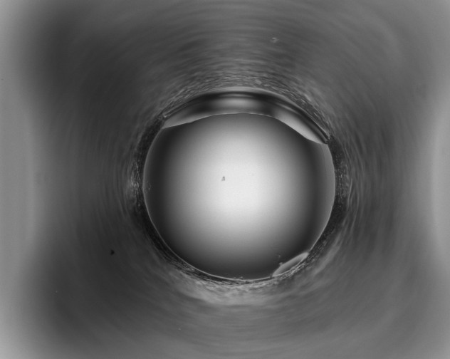 X0000096190040200801181330