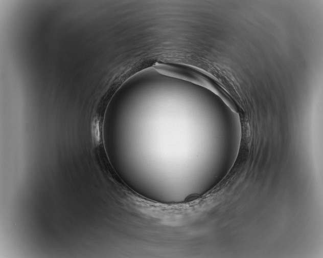 X0000096190042200801181330