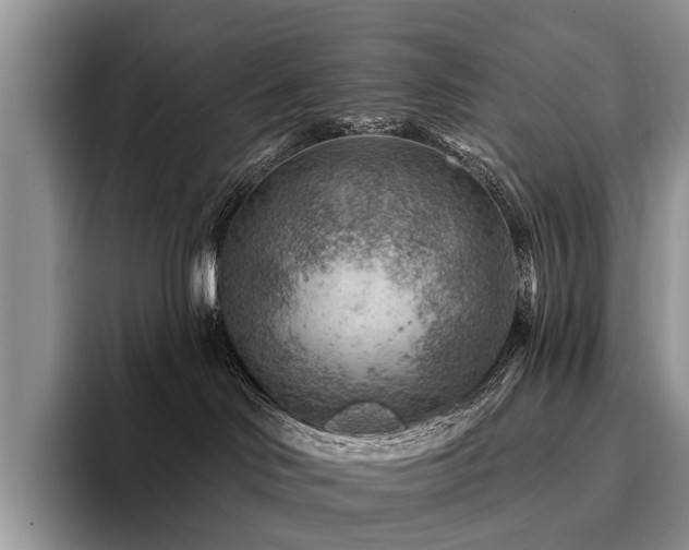 X0000096190046200801181330