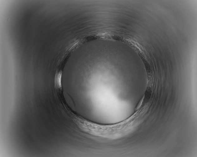 X0000096190047200801181330