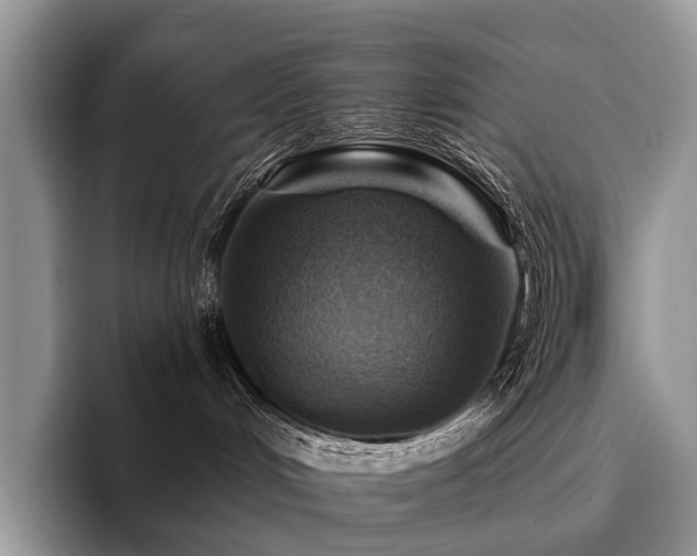 X0000096190048200801181329
