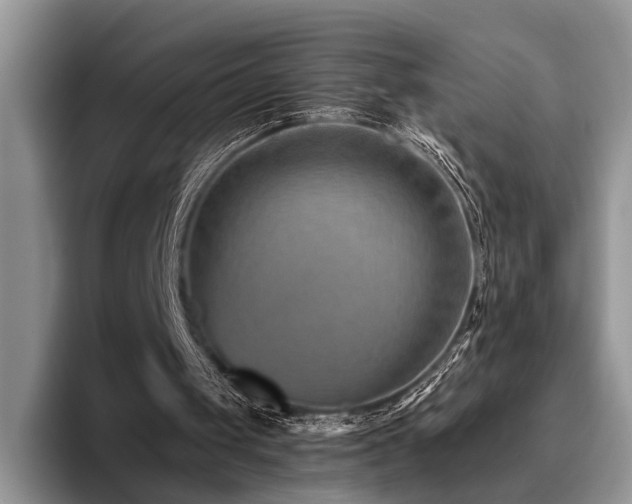 X0000096190049200801181329