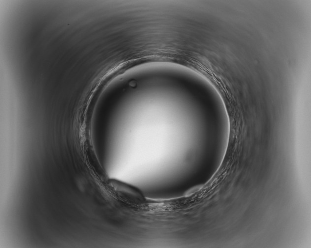 X0000096190050200801181329