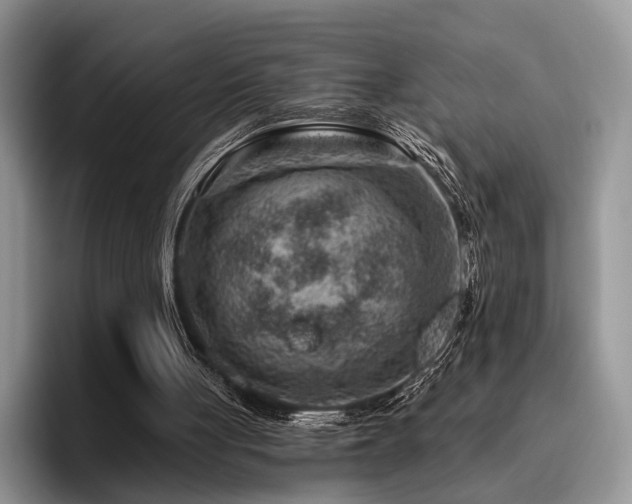 X0000096190051200801181329