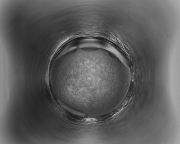 X0000096190052200801181329