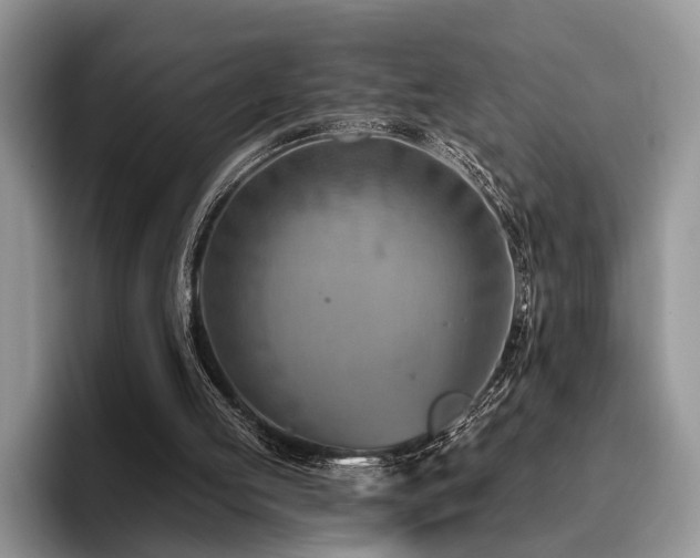 X0000096190053200801181329