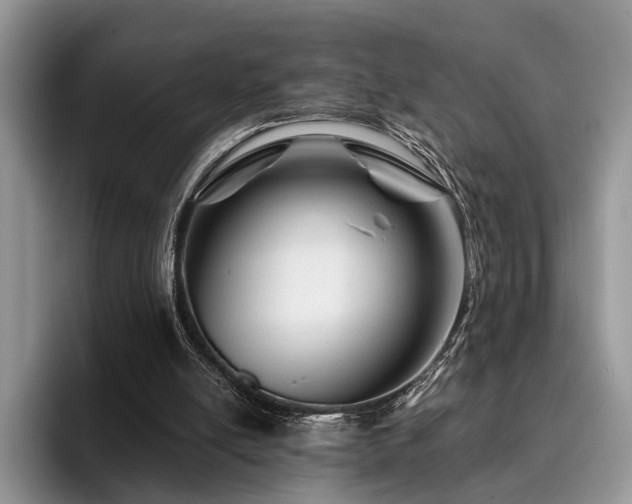 X0000096190054200801181329