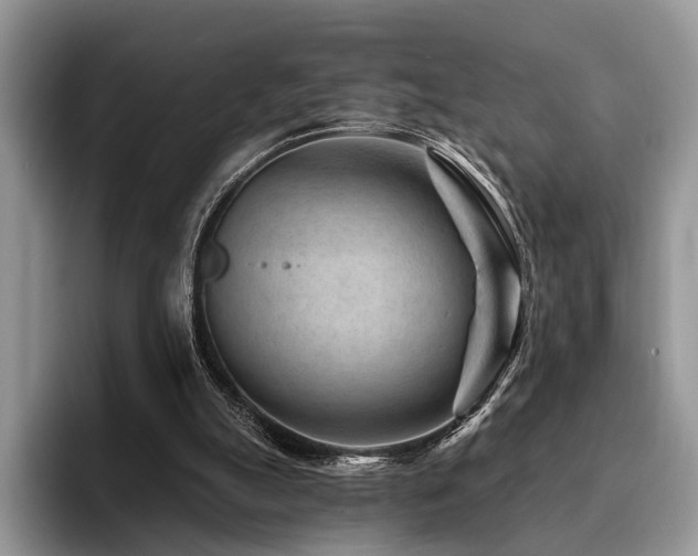 X0000096190055200801181329