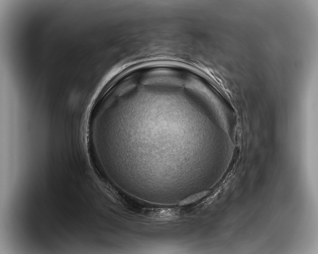 X0000096190056200801181329