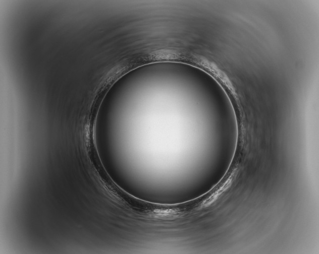 X0000096190057200801181329