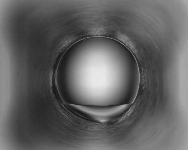 X0000096190058200801181329