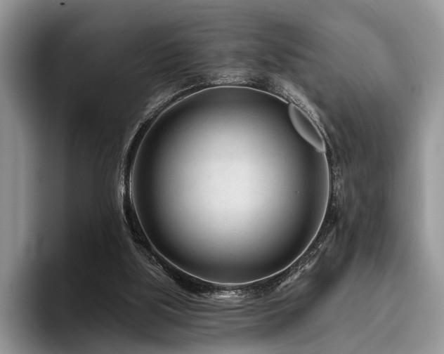 X0000096190059200801181329