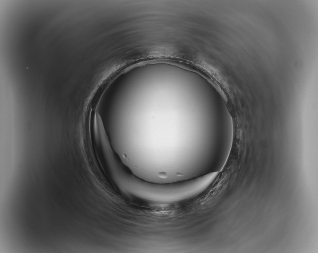 X0000096190060200801181329