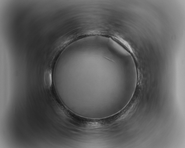 X0000096190061200801181329